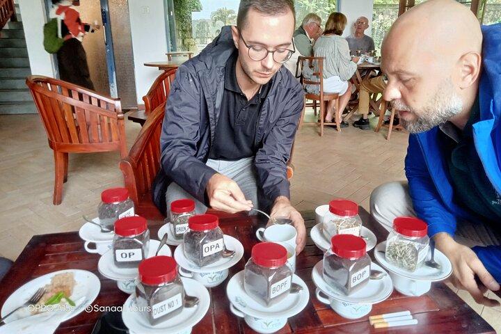 Nuwara Eliya Tea factory and waterfall tour