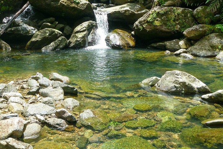 Waterfall Hike in Remote Area of El Yunque Rainforest; San Juan