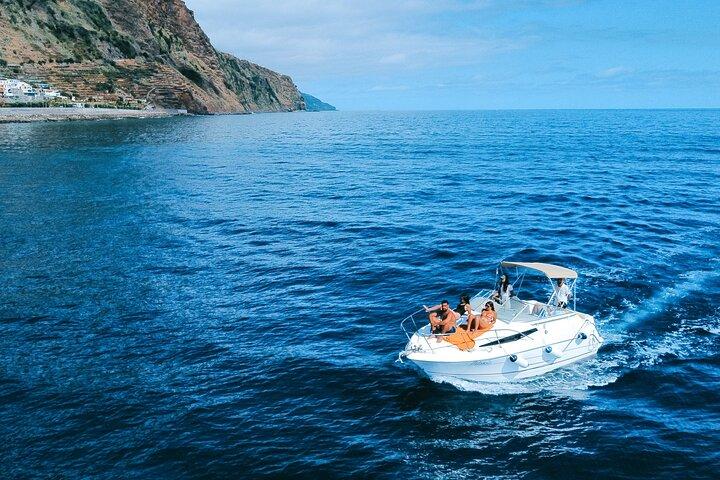 Private Dolphin and Whale Watching Tour in Madeira