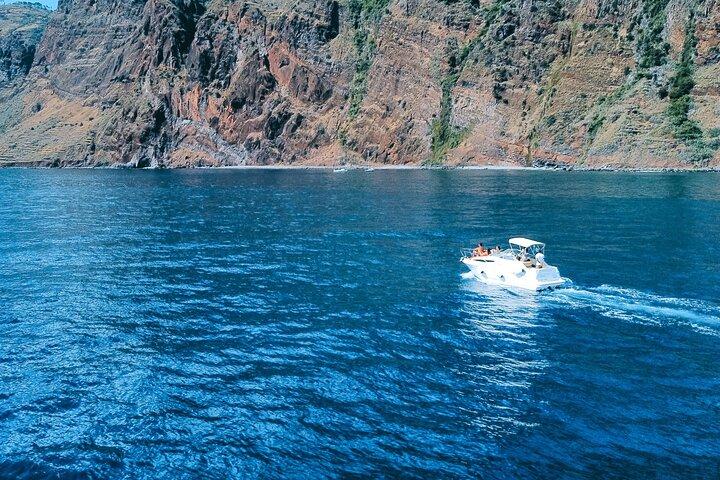 Private Dolphin and Whale Watching Tour in Madeira