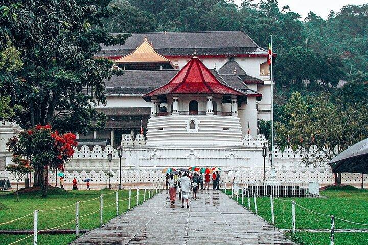 Kandy All Inclusive Day Tour from Colombo