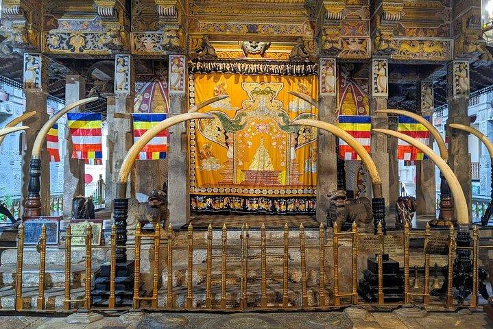 Kandy All Inclusive Day Tour from Colombo