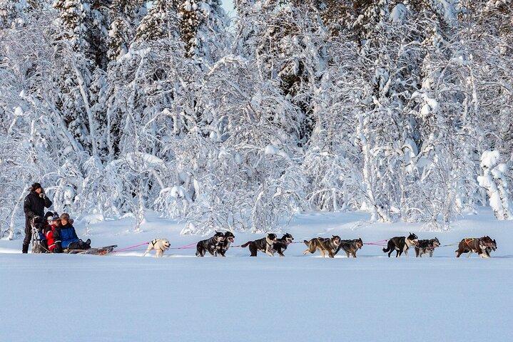 Sunset Zen Husky Tour