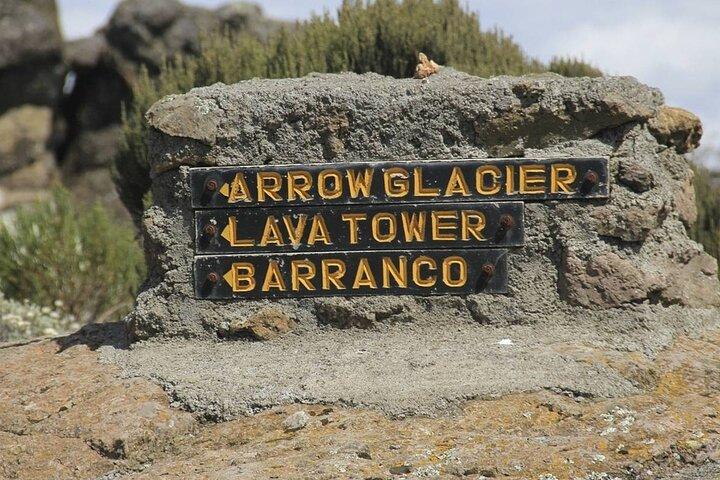 Climb Mount Kilimanjaro: 7 Days Machame Route With Airport Transfers
