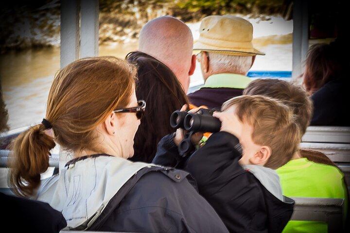 Discovery Dolphin Boat Tour