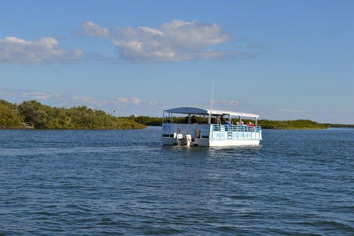 Discovery Dolphin Boat Tour