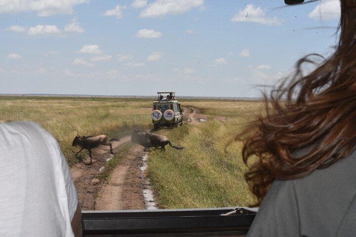 2 Day Midrange Safari to Tarangire and Ngorongoro from Arusha