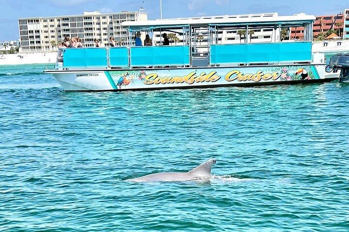 Soundside Cruiser Morning Snorkel & Dolphin Adventure