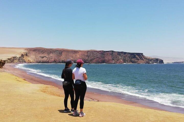 From Ica to Huacachina: Ballestas Islands and National Reserve