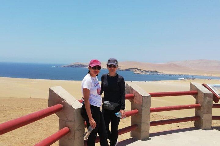 From Ica to Huacachina: Ballestas Islands and National Reserve