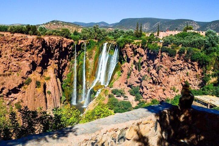 Ouzoud Waterfalls Day Trip from Marrakech
