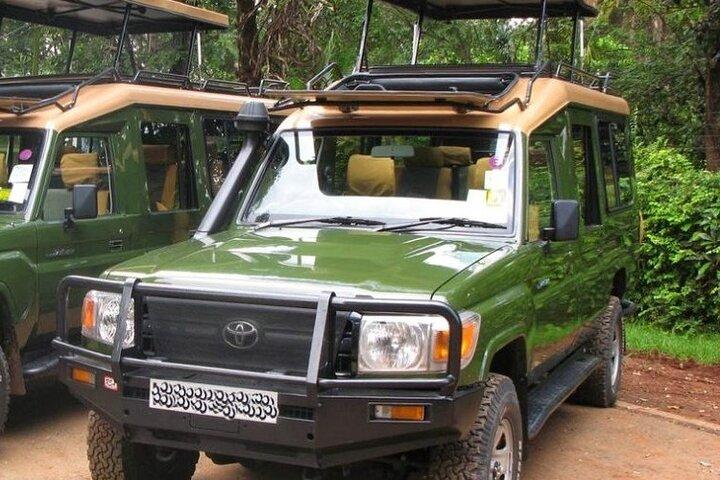 Car Tour Through Rwanda Gorilla Volcanoes