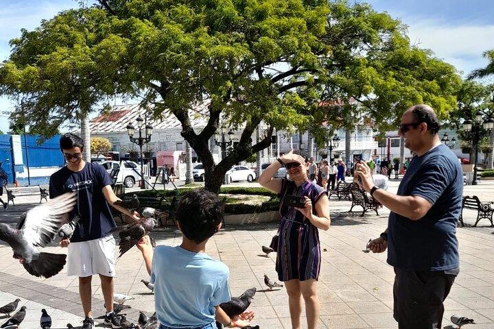 Exclusive Puerto Plata Tour: City Tour, Beach, and Adventure