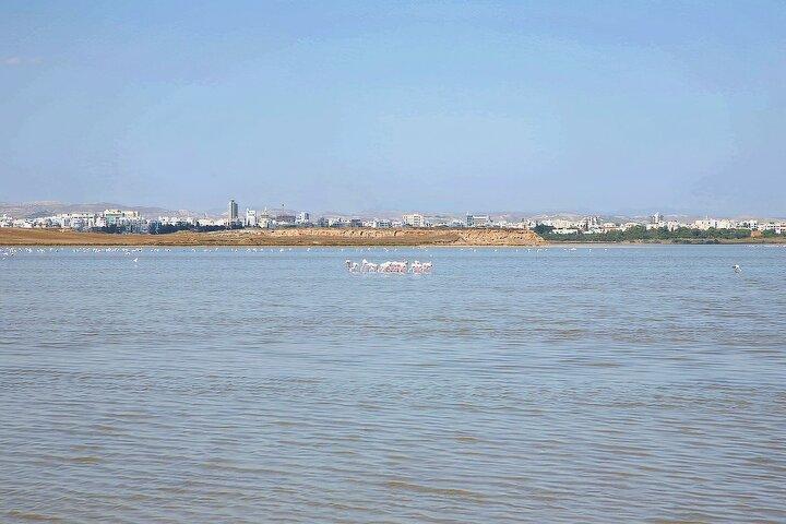 Larnaca & Divided Nicosia Sightseeing Tour from Paphos