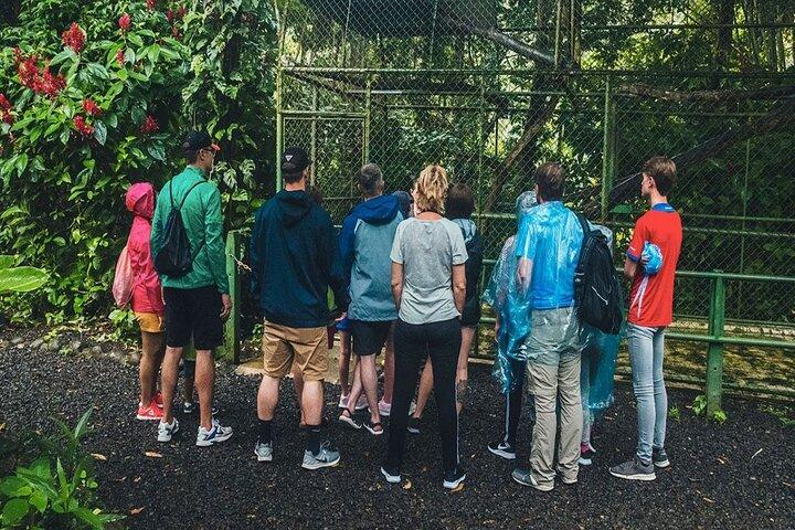 La Fortuna: Proyecto Asis Wildlife Rescue Center with transport