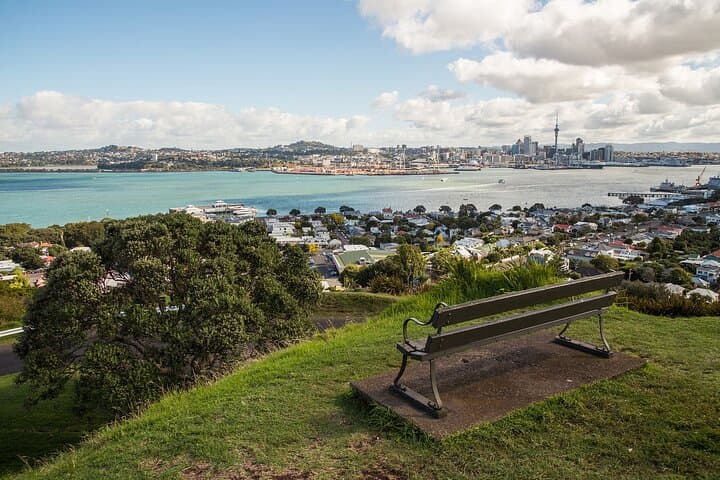 Auckland Half Day Tour - See the Most Famous Attractions