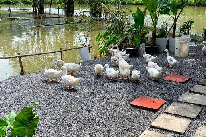Ninh Binh 1-Day Motorbike Tour Explore Highlights & Hidden Gems