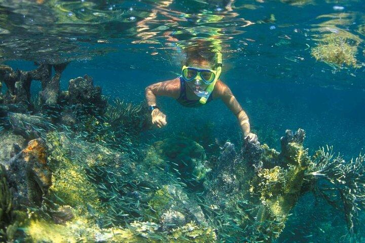 Explore Nha Trang Bay: Snorkeling at Mun Island and Coral Reefs