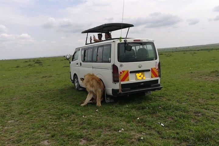 Nairobi National Park Safari Experience Shared Tour