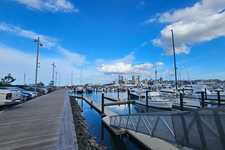 Auckland City Highlight Halfday Tour