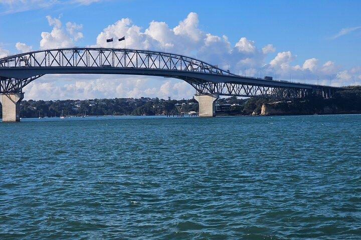 Auckland City Highlight Halfday Tour