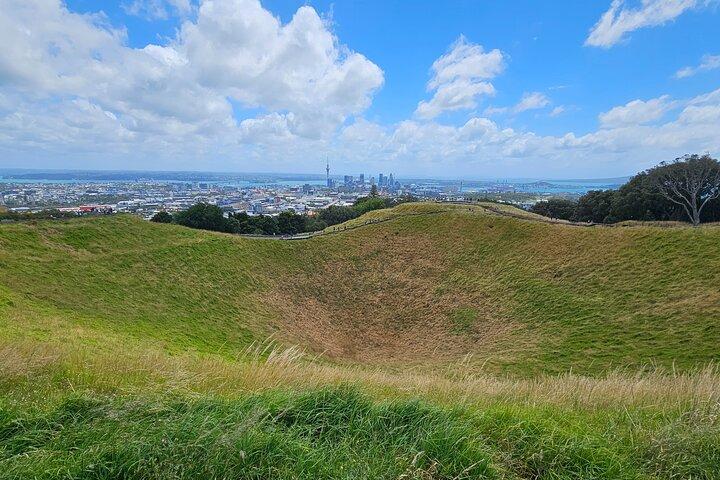 Auckland City Highlight Halfday Tour