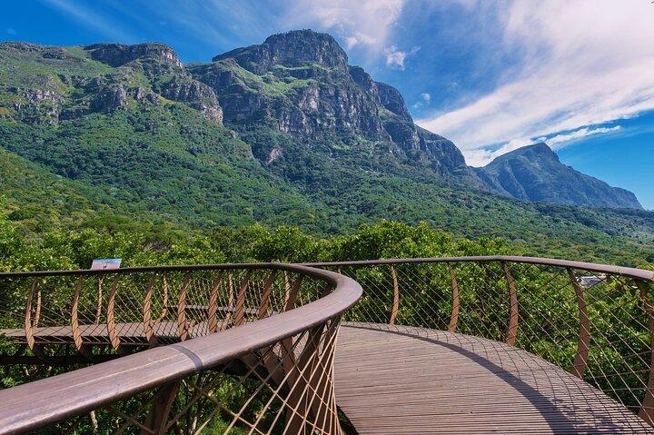 Half Day Tour: Table Mountain & KirstenBosch Botanical Gardens