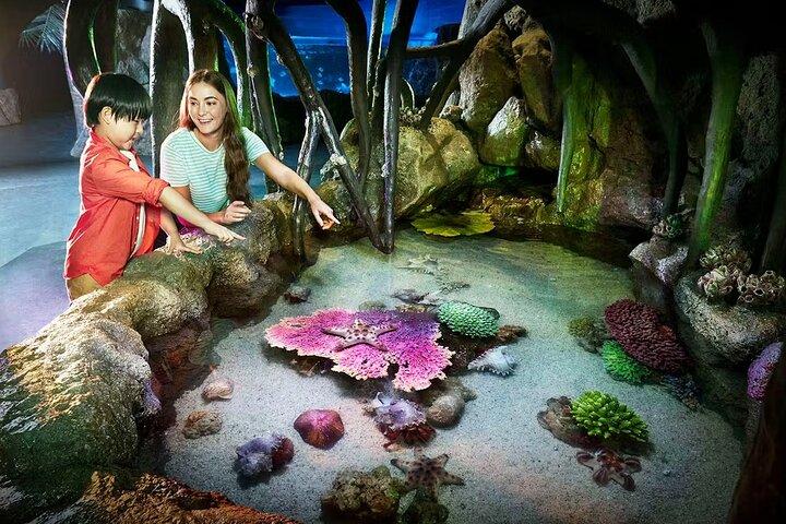 SEA LIFE Bangkok Ocean World and Madame Tussauds Tickets