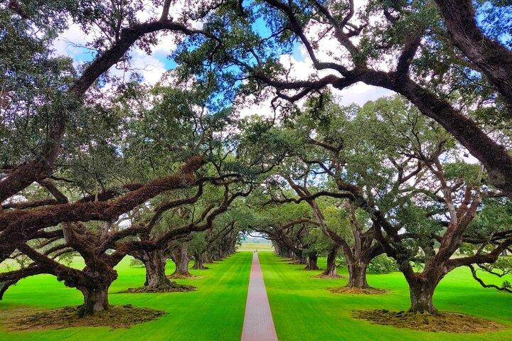 Transportation (Only) to a Louisiana Plantation