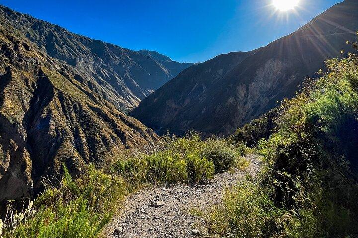 Colca Canyon Trekking - 3 Days