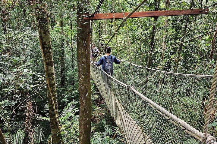 Adventure Taman Negara Tour From Kuala Lumpur