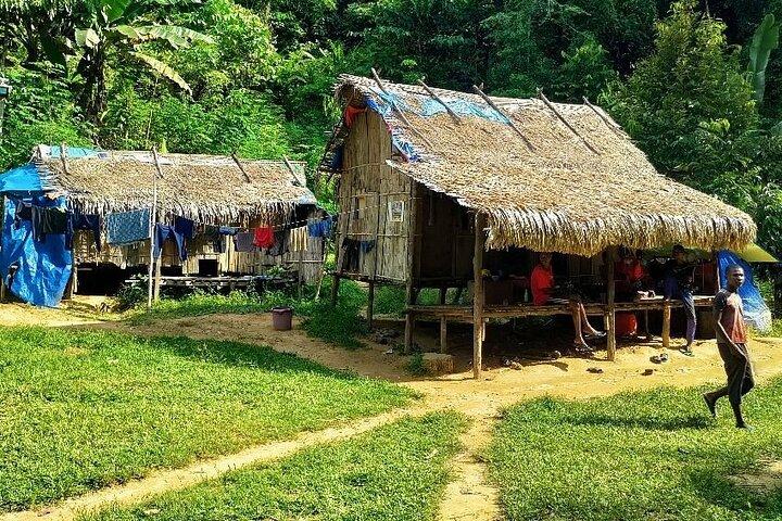 Adventure Taman Negara Tour From Kuala Lumpur