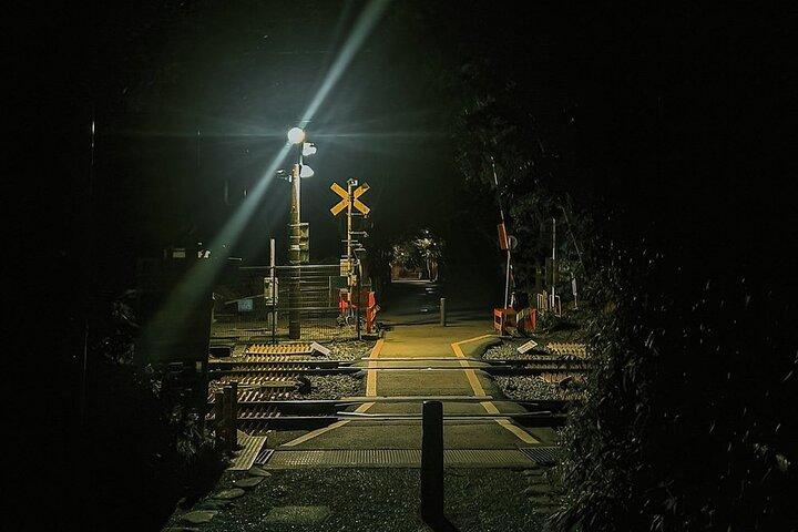Kyoto Ghost Tour: Dark Tales, Urban Legends, Bamboo Forest Night