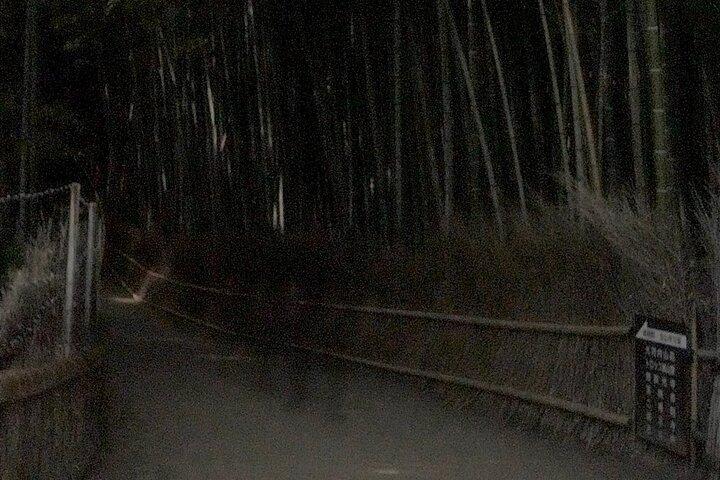 Kyoto Ghost Tour: Dark Tales, Urban Legends, Bamboo Forest Night