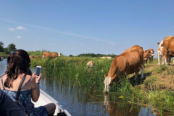 Private daytour from Amsterdam into the Countryside