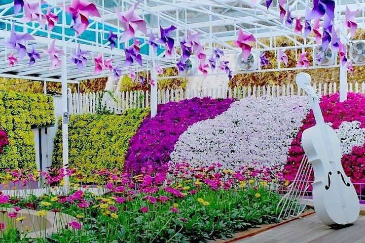 Elevate Your Senses: A Day of Wonders in Cameron Highlands!