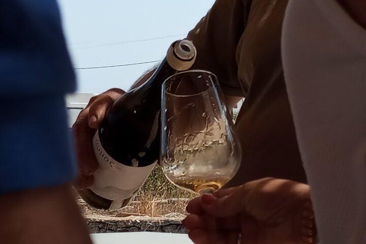 Paros Wine Tasting at a Local Winery