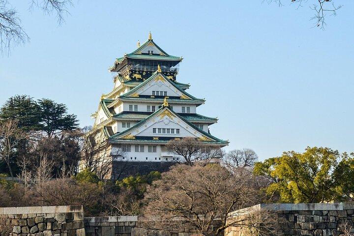 Osaka City Cherry Blossom Private Sightseeing Tour