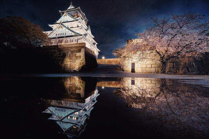 Osaka City Cherry Blossom Private Sightseeing Tour