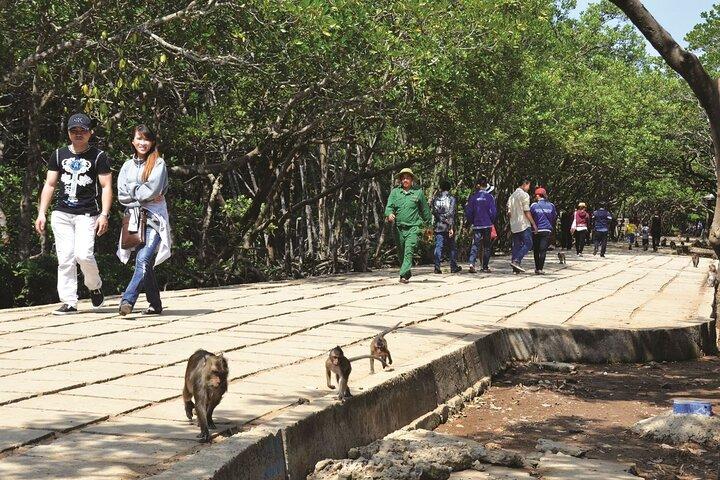 Private Monkey Island and Mangrove Discovery Tour