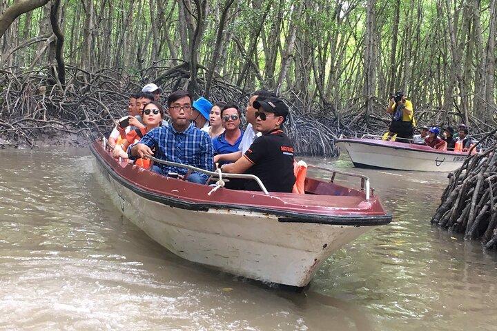 Private Monkey Island and Mangrove Discovery Tour