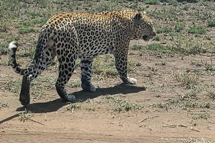 6 Days Tanzania Big Five Safari