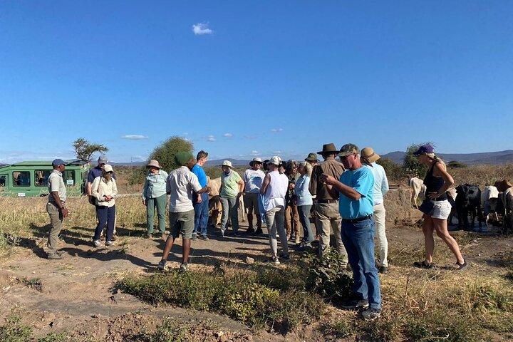 6 Days Tanzania Big Five Safari