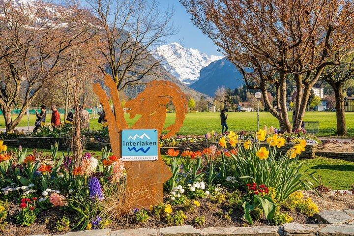 Zurich: Private Day Trip to Lucerne and Interlaken