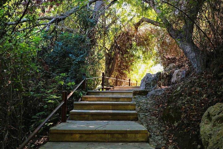 Blue Lagoon Cruise and Aphrodite’s Birthplace Tour from Limassol