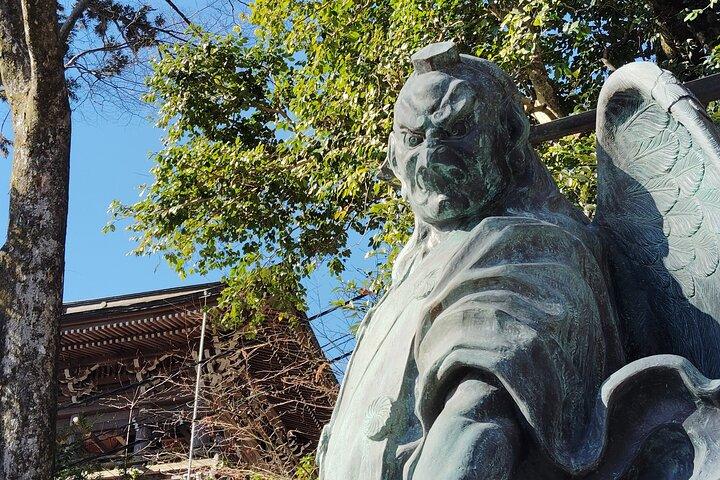 Guided Trip to Mount Takao Train Journey from Shinjuku