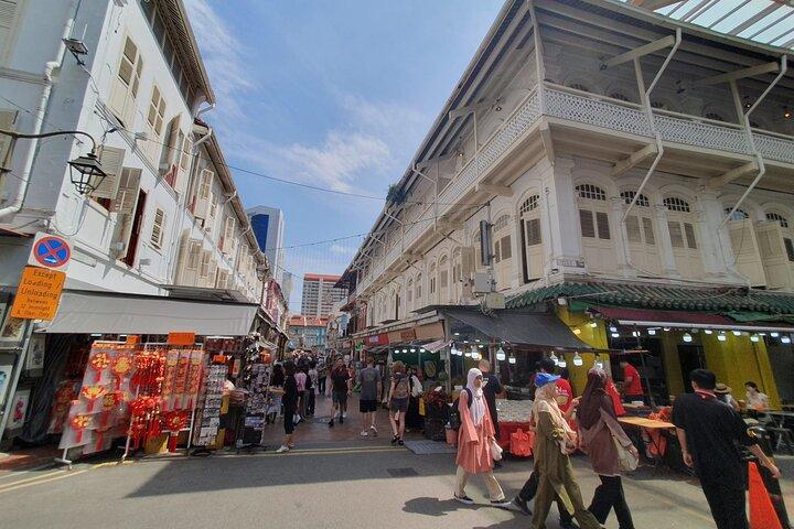 Singapore City Guided Group Tour By Car and Walk