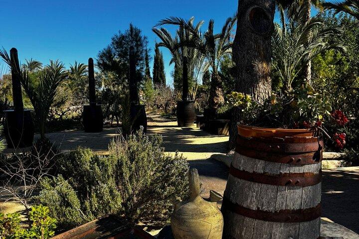 Alicante; Wine Tour Wine Tasting, Food and Transfer