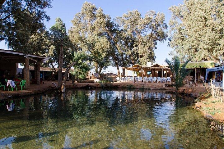 From Djerba Excursion Ksar Ghilaine Matmata