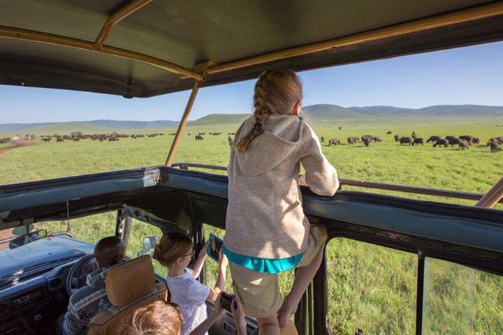 4-Day The Untamed Beauty of Maasai Mara & Nakuru at Sarova Lodges